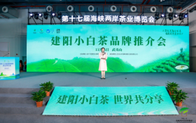 千年茶香焕新韵，建阳小白茶品牌推介会圆满举办！