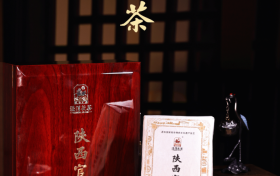 从丝路官茶到当代佳礼，泾渭茯茶轻量化新品：让文化与品质触手可及