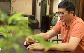 沉淀岁月的香气：寸板斋古树茶的高端品质之道